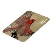 noordelijke kardinaal in de vlucht magneet (Linkerzijde)