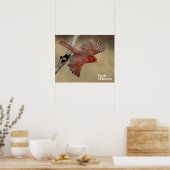 noordelijke kardinaal in de vlucht poster (Keuken)