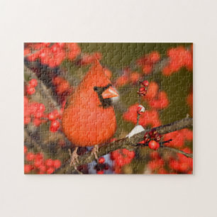 Noordelijke Kardinaal in Gewone Winterbes Legpuzzel