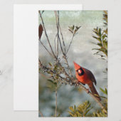 Noordelijke Kardinaal in Wax Myrtle Briefpapier (Voorkant / Achterkant)