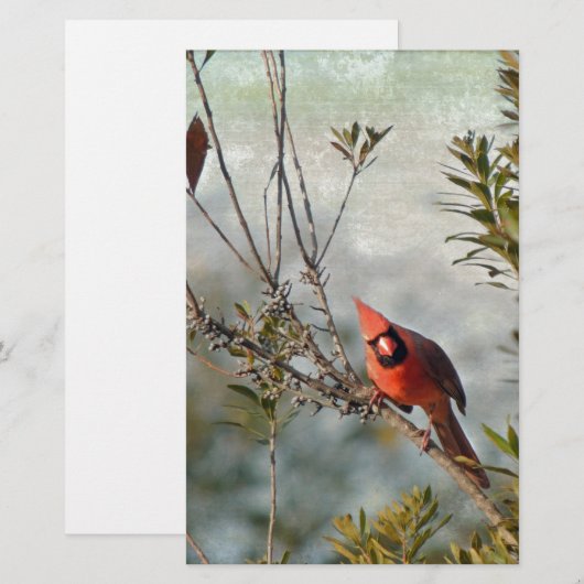 Noordelijke Kardinaal in Wax Myrtle Briefpapier (Voorkant / Achterkant)