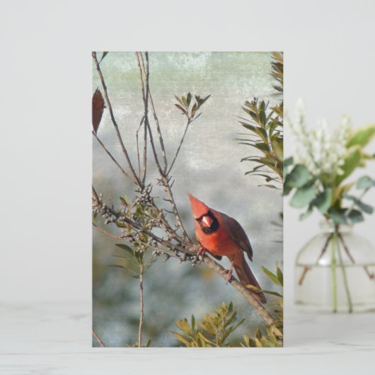 Noordelijke Kardinaal in Wax Myrtle Briefpapier (Staand voorkant)