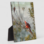 Noordelijke Kardinaal in Wax Myrtle Fotoplaat (Zijkant)