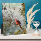 Noordelijke Kardinaal in Wax Myrtle Fotoplaat (Zijkant)