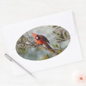 Noordelijke Kardinaal in Wax Myrtle Ovale Sticker (Envelop)