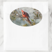 Noordelijke Kardinaal in Wax Myrtle Ovale Sticker (Tas)