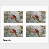 Noordelijke Kardinaal in Wax Myrtle Rechthoekige Sticker (Vel)