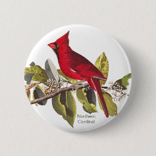 Noordelijke Kardinaal, John James Audubon, Red Bir Ronde Button 5,7 Cm