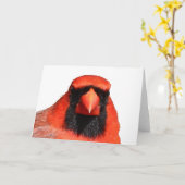 Noordelijke Kardinaal Kaart (Gele Bloem)