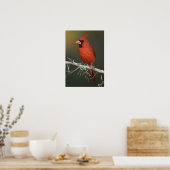Noordelijke Kardinaal, Kardinalis cardinalis, mann Poster (Keuken)