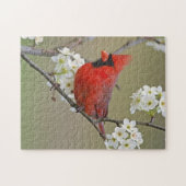 noordelijke kardinaal legpuzzel (Horizontaal)