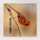 noordelijke kardinaal legpuzzel (Horizontaal)