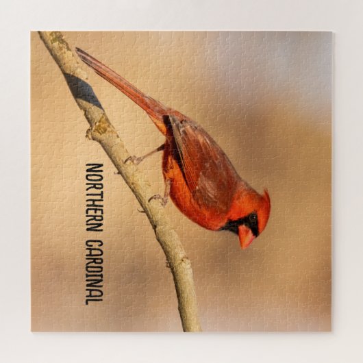 noordelijke kardinaal legpuzzel (Horizontaal)