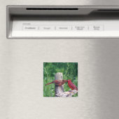 noordelijke kardinaal magneet (Insitu (Vaatwasser))