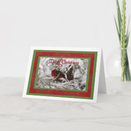 Noordelijke Kardinaal Man Kerst Kaart