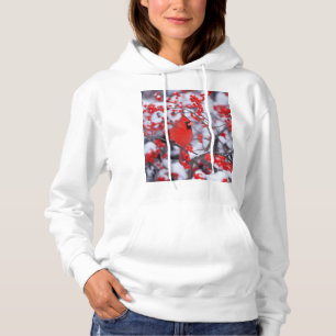 Noordelijke Kardinaal mannetje, Winter, IL Hoodie