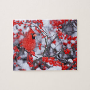 Noordelijke Kardinaal mannetje, Winter, IL Legpuzzel