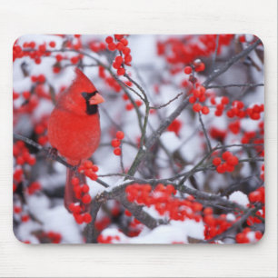 Noordelijke Kardinaal mannetje, Winter, IL Muismat