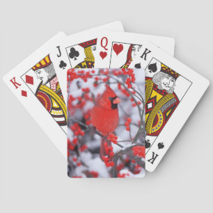 Noordelijke Kardinaal mannetje, Winter, IL Pokerkaarten