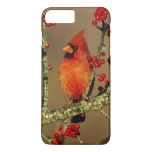 Noordelijke Kardinaal mannetje zit, IL Case-Mate iPhone Case