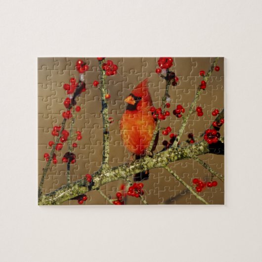 Noordelijke Kardinaal mannetje zit, IL Legpuzzel (Horizontaal)