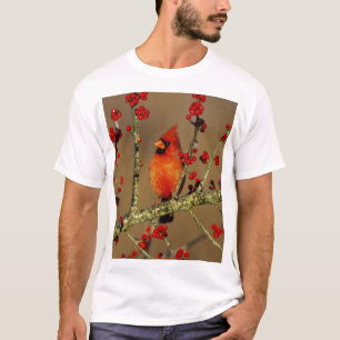 Noordelijke Kardinaal mannetje zit, IL T-shirt