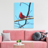 Noordelijke Kardinaal met Summer Sky Canvas Afdruk (Insitu (Woonkamer))