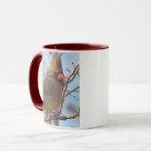 Noordelijke kardinaal Mom Mok (Voorkant links)