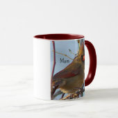 Noordelijke kardinaal Mom Mok (Voorkant rechts)