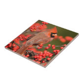 Noordelijke Kardinaal op Common Winterberry Tegeltje (Zijkant)