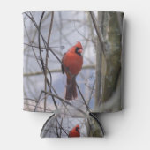 Noordelijke Kardinaal op een Misty Morning Blikjeskoeler (Voorkant)