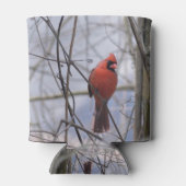 Noordelijke Kardinaal op een Misty Morning Blikjeskoeler (Achterkant)