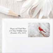 Noordelijke Kardinaal op een tak Etiket (Insitu)