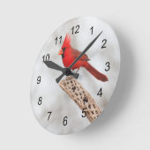 Noordelijke Kardinaal op een tak Ronde Klok (Hoek)