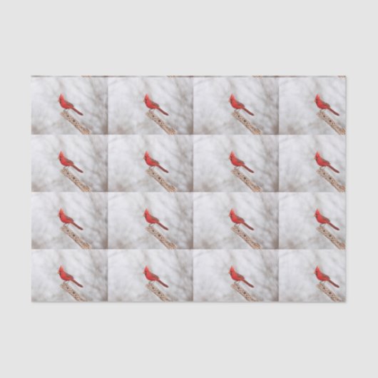 Noordelijke Kardinaal op een tak Tissuepapier (Voorkant)