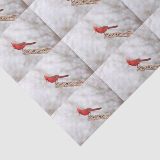 Noordelijke Kardinaal op een tak Tissuepapier (Detail)