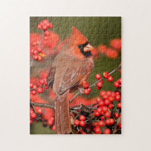 Noordelijke Kardinaal op Gewone Winterbes Legpuzzel