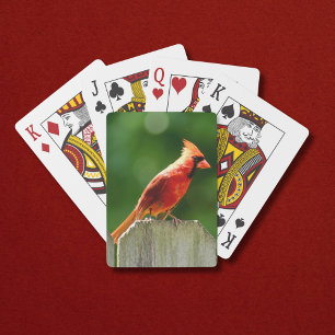 Noordelijke Kardinaal op Hek in Zomer Pokerkaarten
