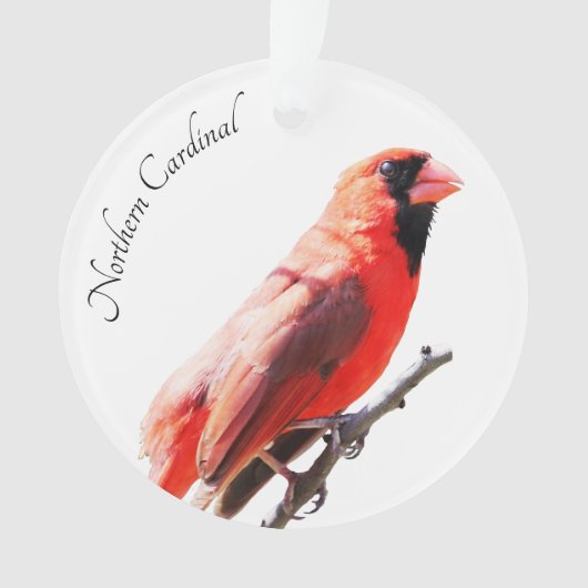 noordelijke kardinaal ornament (voorkant)