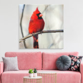 Noordelijke Kardinaal Perch Canvas Afdruk (Insitu (Woonkamer))