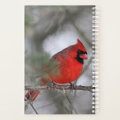 Noordelijke kardinaal planner (Achterkant)