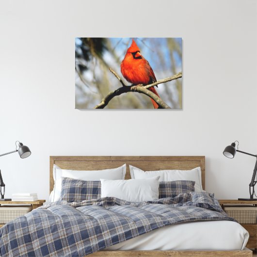 Noordelijke Kardinaal Portret Canvas Print (Insitu (Slaapkamer))