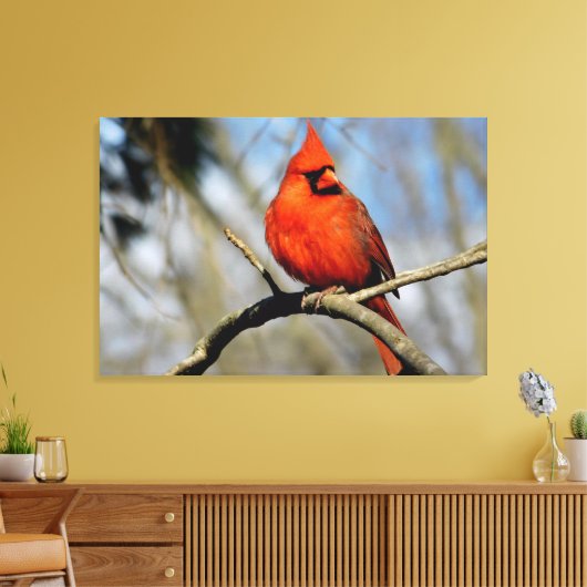 Noordelijke Kardinaal Portret Canvas Print (Insitu (Woonkamer))