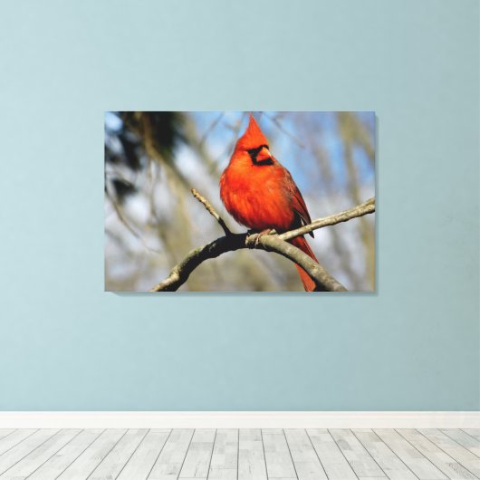 Noordelijke Kardinaal Portret Canvas Print (Insitu (Houten vloer))