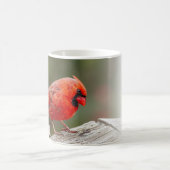 Noordelijke kardinaal Psalm 145:14 Koffiemok (Center)