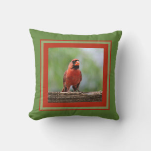 Noordelijke kardinaal, rood en groen kussen