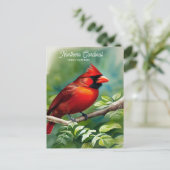 Noordelijke kardinaal-staatsvogel van het Briefkaa Briefkaart (Staand voorkant)