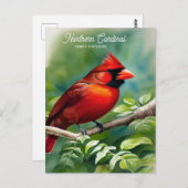 Noordelijke kardinaal-staatsvogel van het Briefkaa Briefkaart (Voorkant / Achterkant)