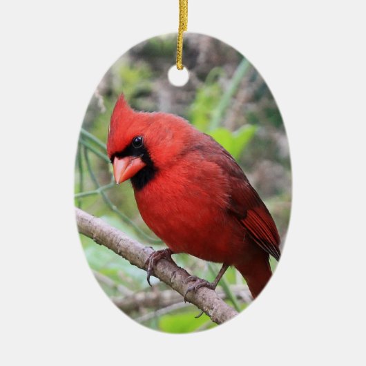 Noordelijke kardinaal — Traditionele kerstvogel Keramisch Ornament (Voorkant)