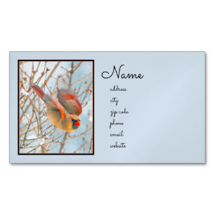 Noordelijke Kardinaal vliegen - Oorspronkelijke fo Magnetisch Visitekaartje